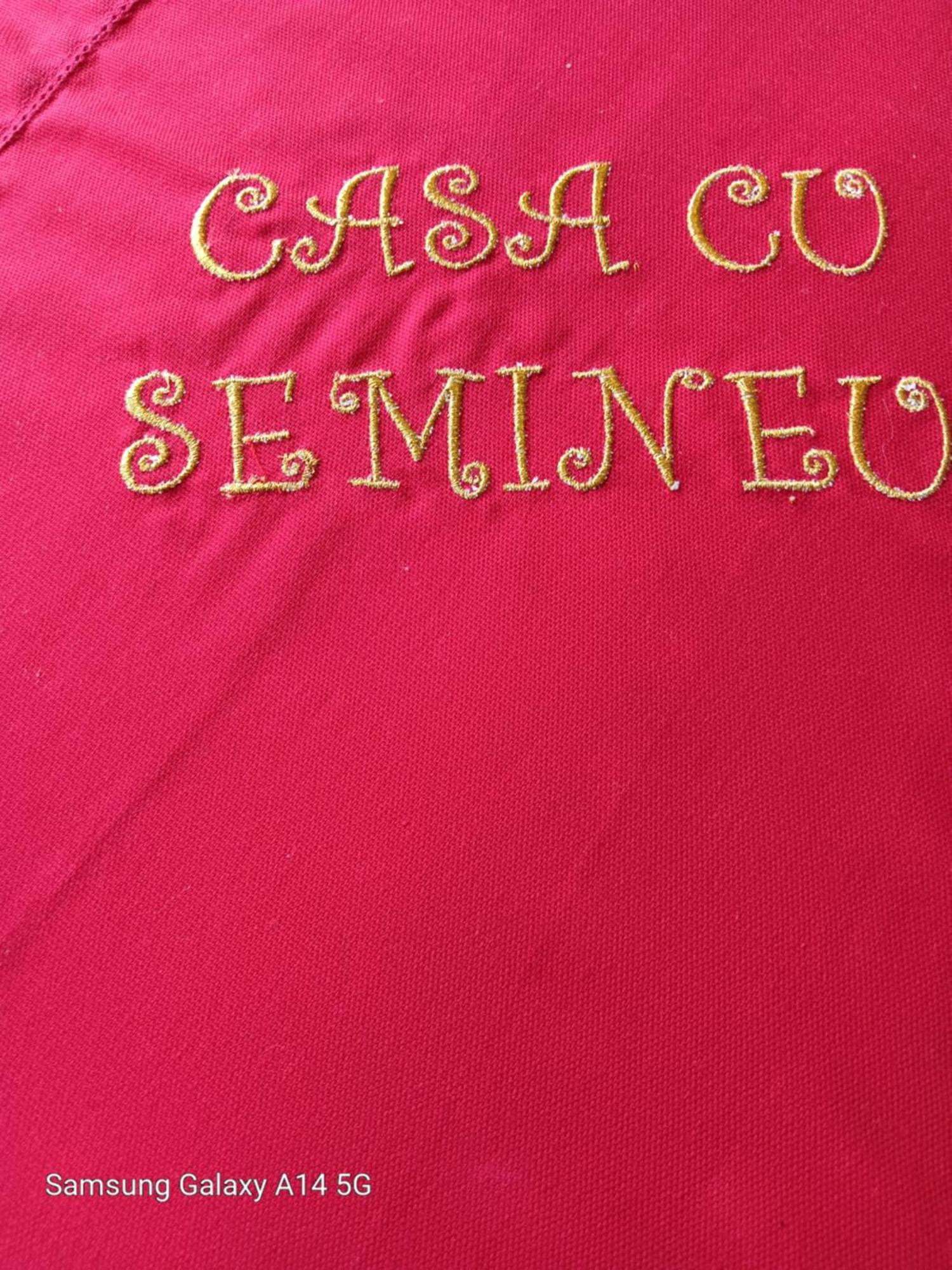 Casa Cu Semineu Moieciu Βίλα Moieciu de Jos Εξωτερικό φωτογραφία